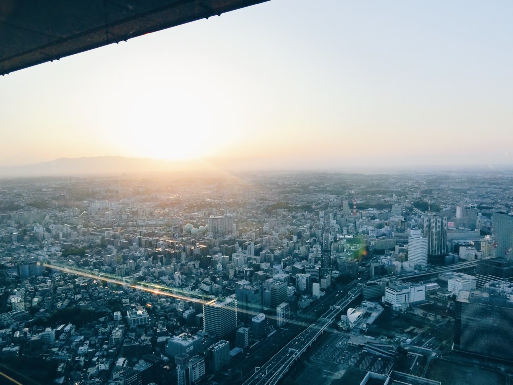 Weeks 68 and 69: The last day of&nbsp;observation