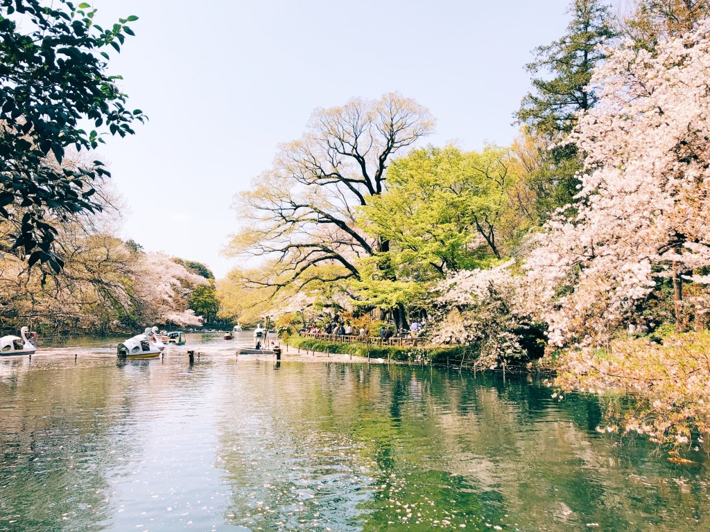 Weeks 118 and 119: A linguist’s perspective – A sci-fi film,&nbsp;Arrival