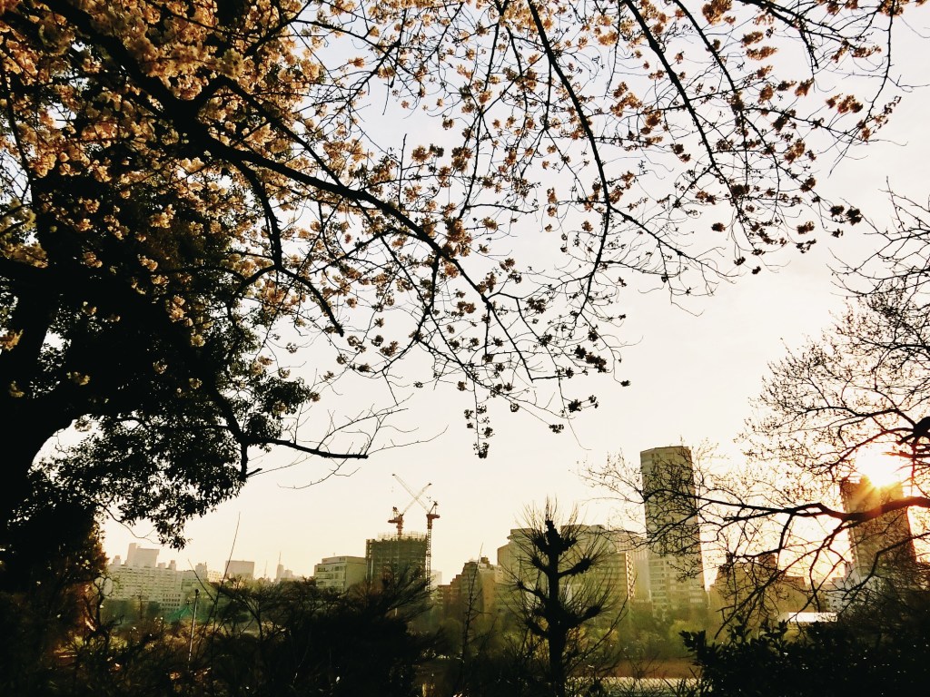 Springtime with my&nbsp;father